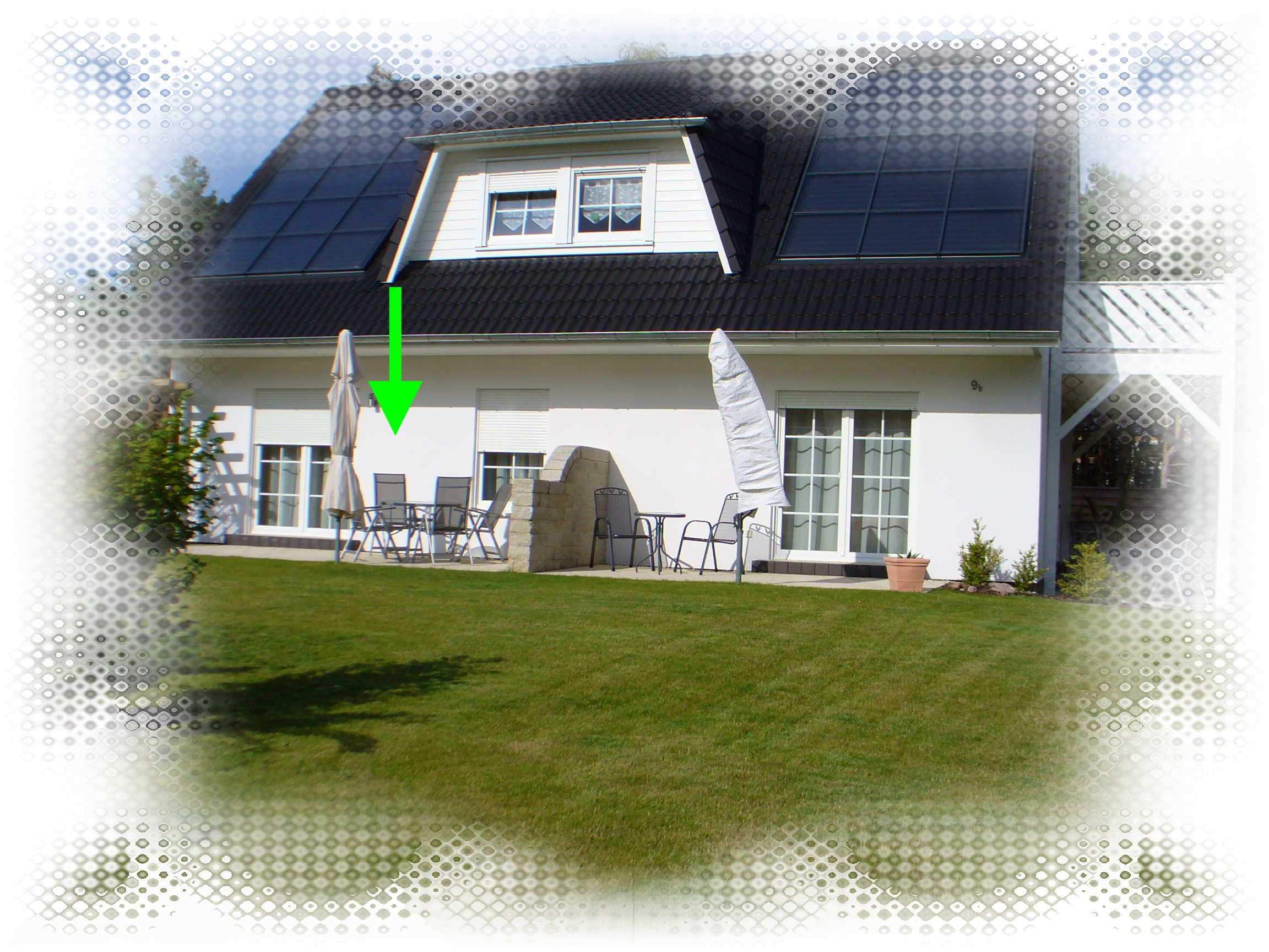 25.Juli (14)_auen Seestern